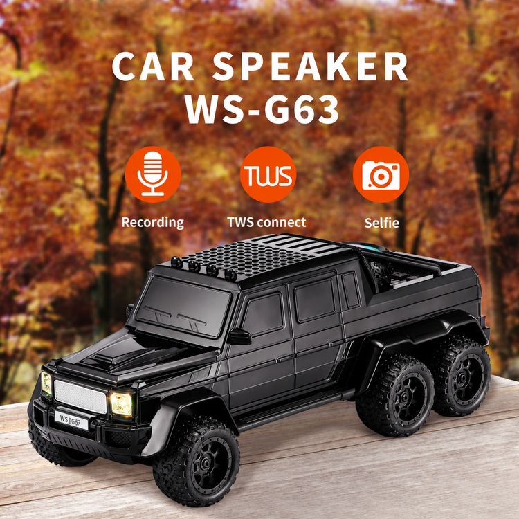 اسپیکر بلوتوثی وستر قابل حمل WSTER مدل WS-G63